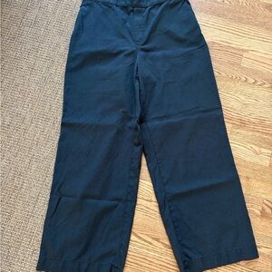 Madewell Women’s Wide Leg Pull-On Pants Size Large